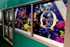 The Interactive Aquarium at Kidspace in Romford features eye catching vinyl window graphics designed and printed by Bluedot Display