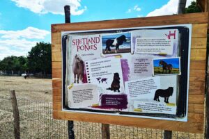 Large full colour information boards printed by Bluedot Display for Hobbledown Heath in Hounslow
