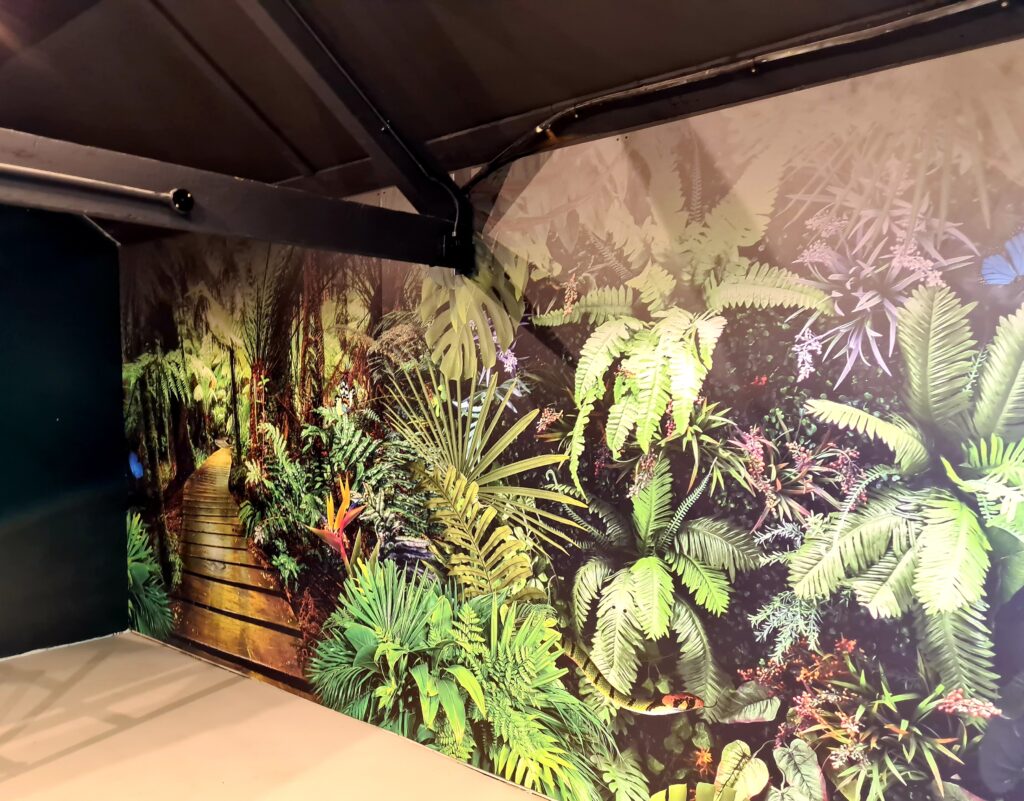Large format printing can be used to produce full wall wraps like this large image of plants